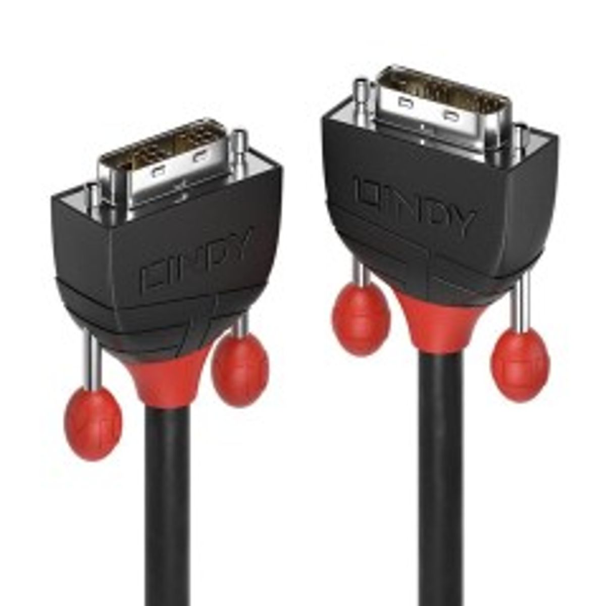 Lindy 5M Dvi-D Single Link Cable,