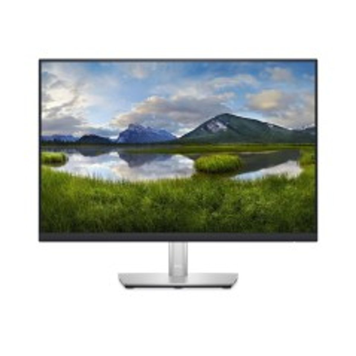 Dell P2423 - 61cm 24