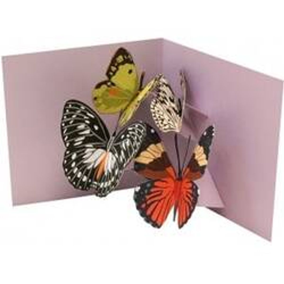 Pop-up Card Four Butterflies