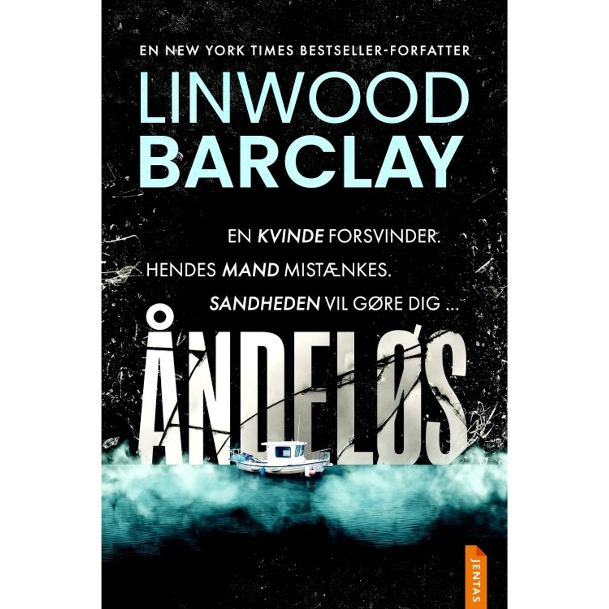 åndeløs - Linwood Barclay - Bog