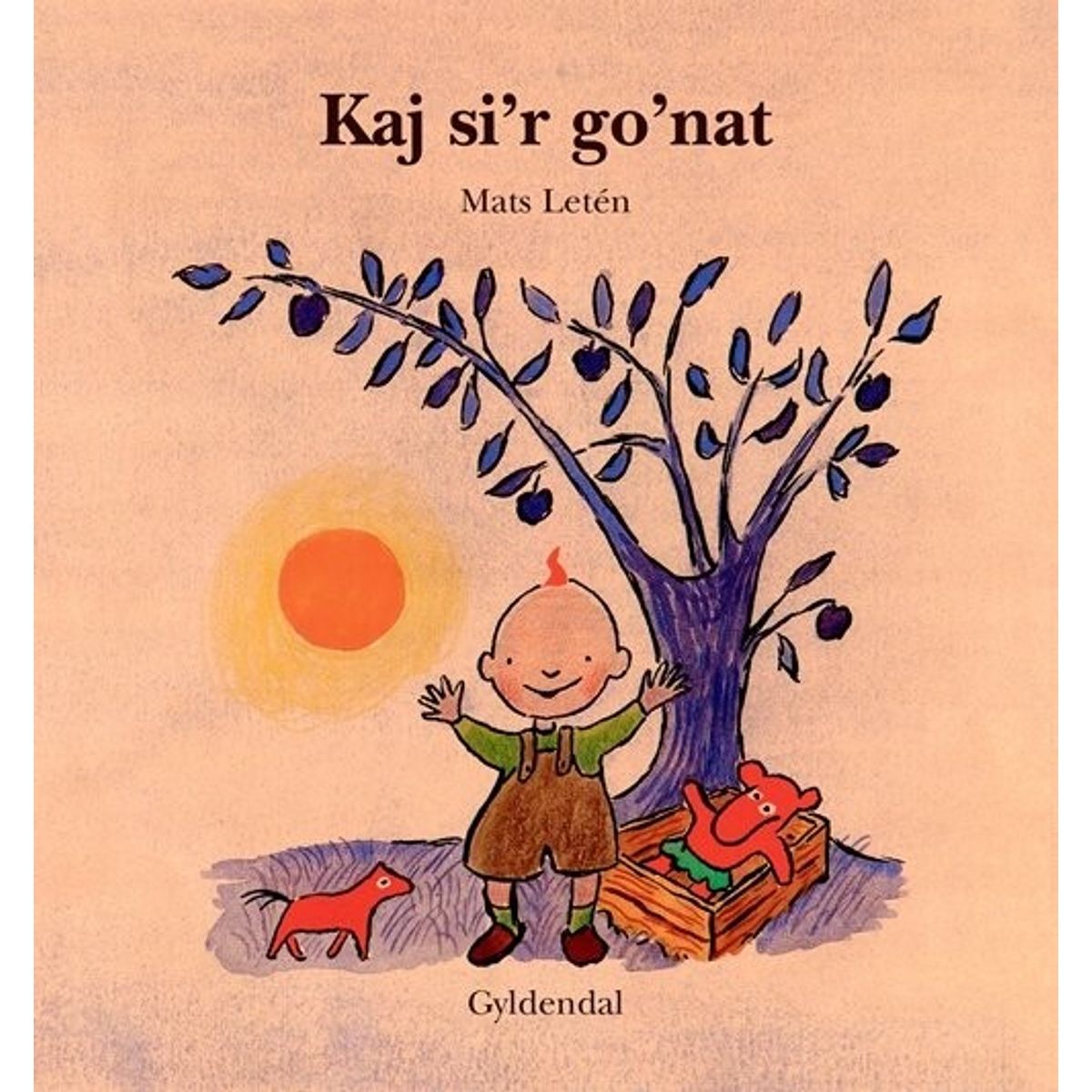 Kaj Si'r Go'nat - Mats Letén - Bog