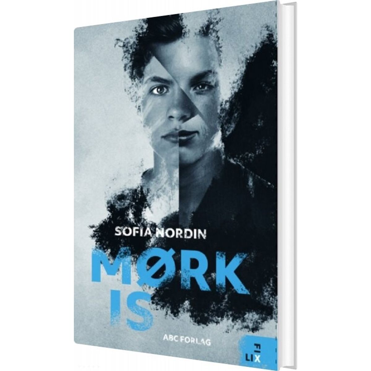 Mørk Is - Sofia Nordin - Bog