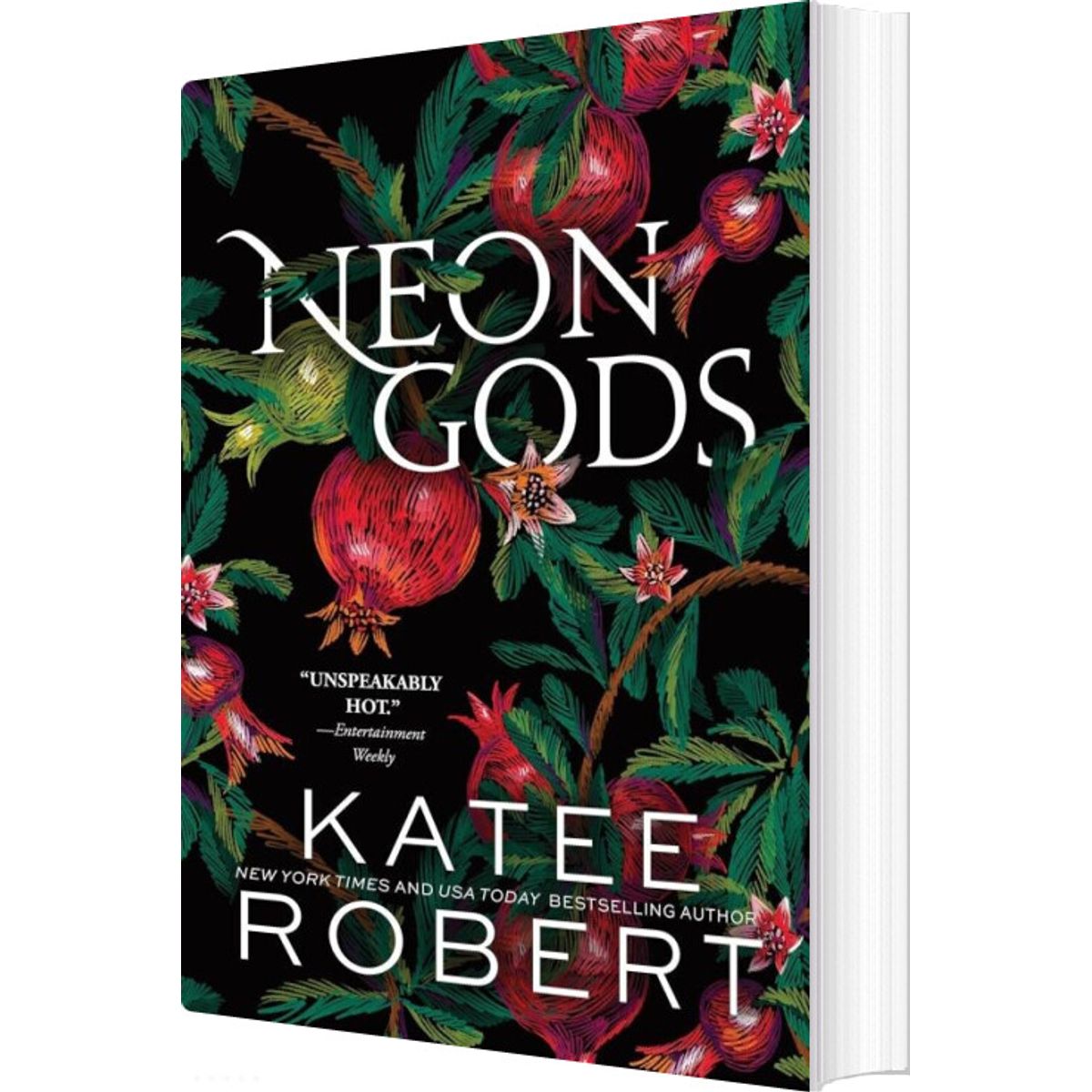 Neon Gods - Katee Robert - English Book