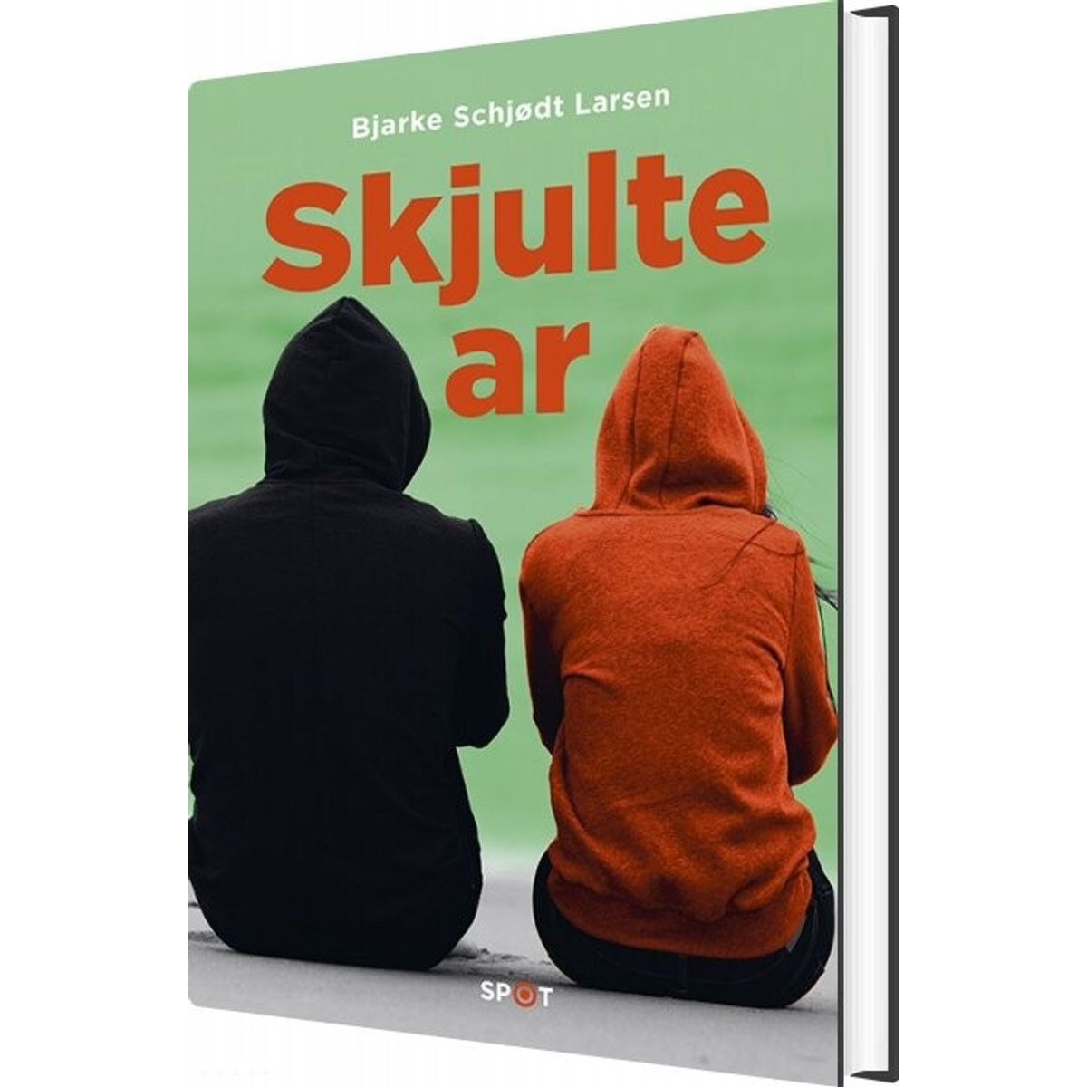 Skjulte Ar - Bjarke Schjødt Larsen - Bog