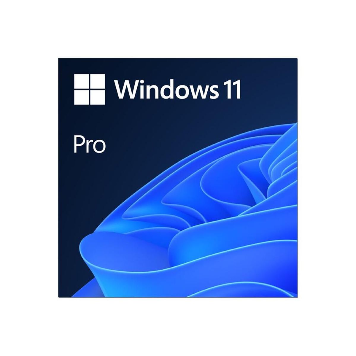 Microsoft Windows 11 PRO OEM ESD