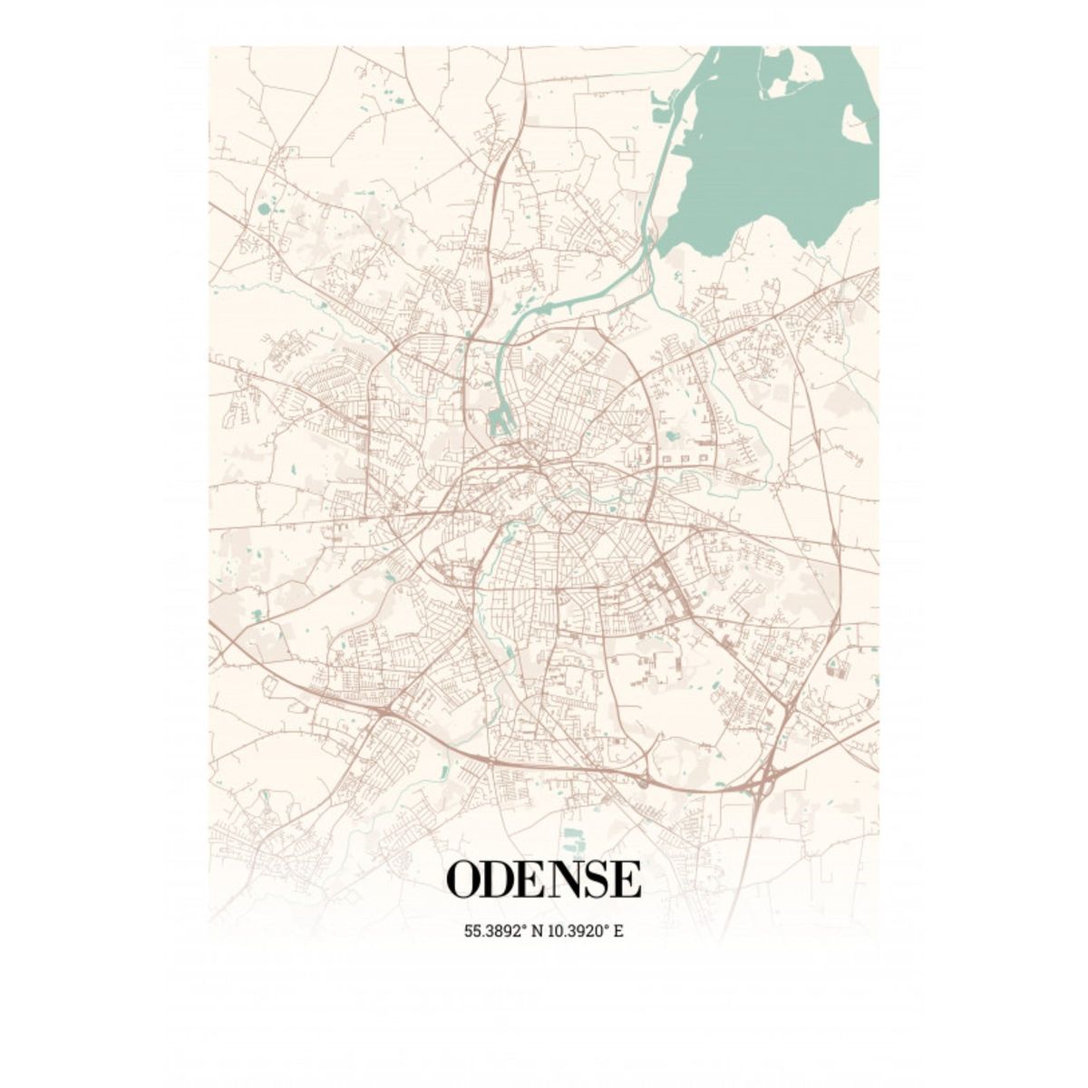 Odense 50x70 cm (B2)