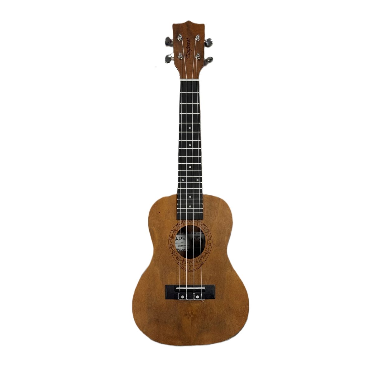 Tanglewood Tiare TWT 3