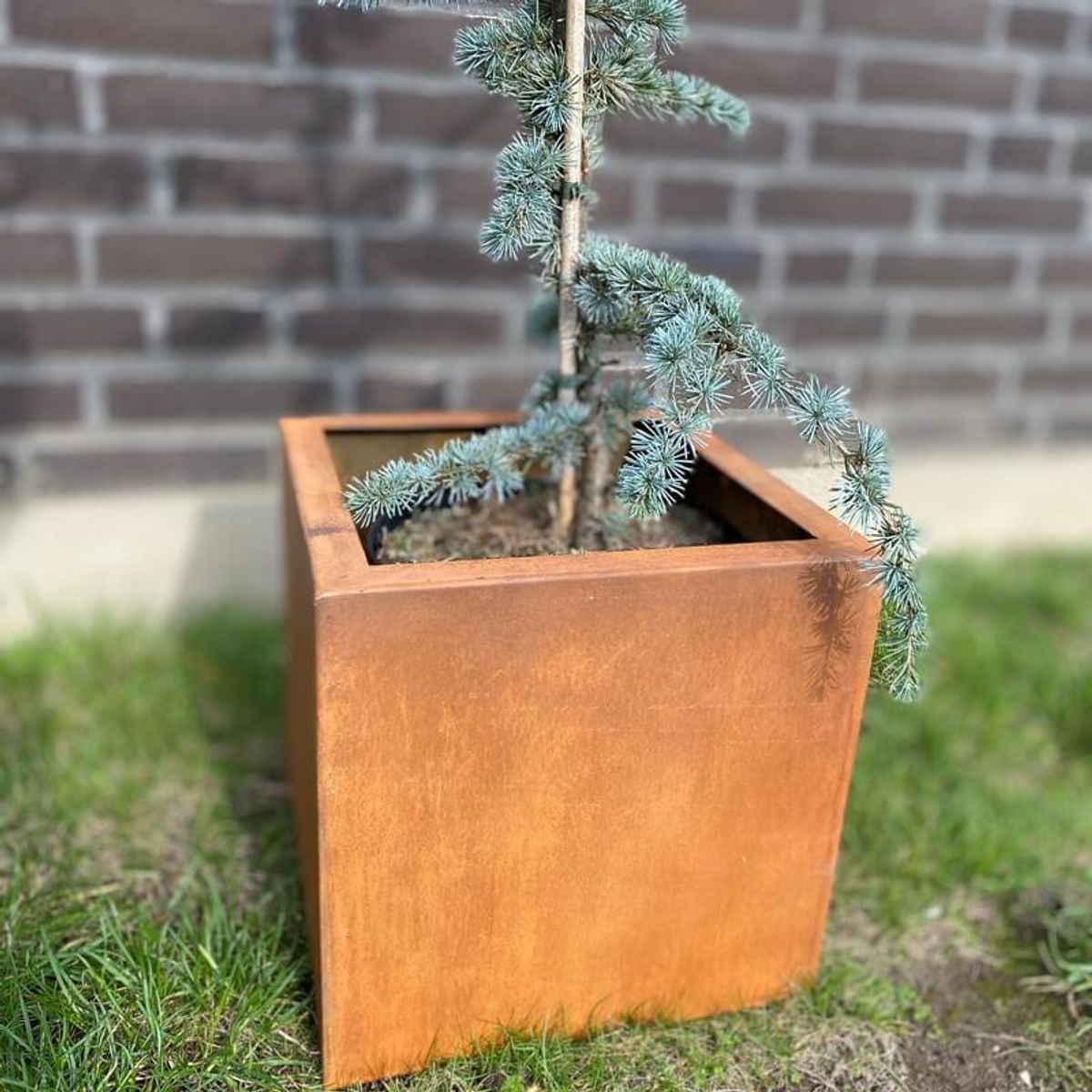 Arion Corten cubis 30