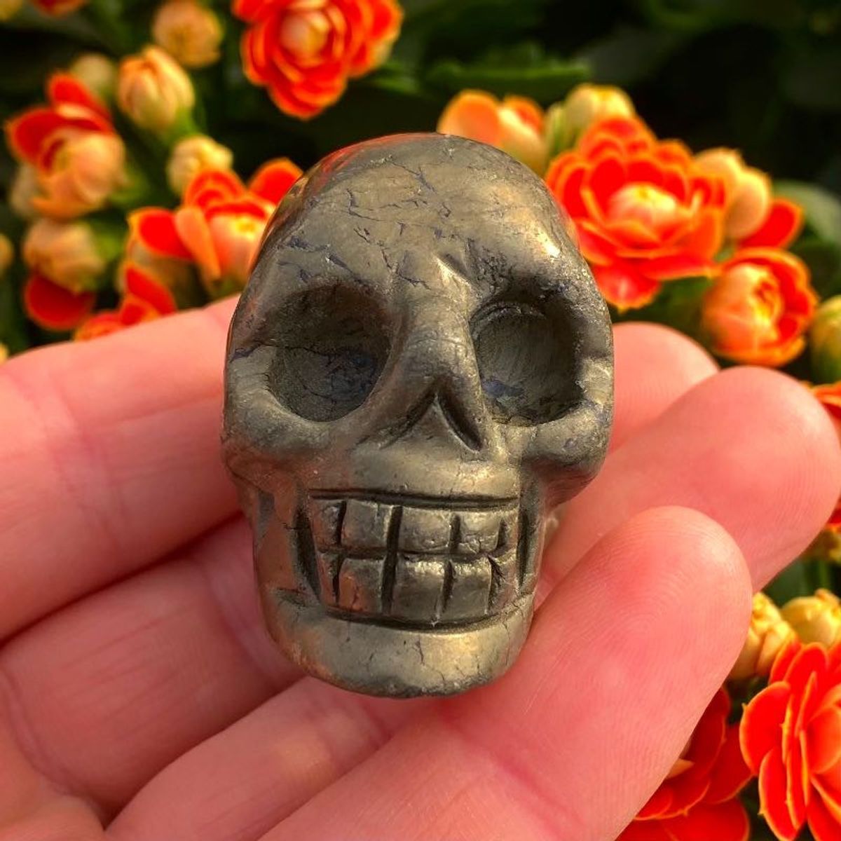 Pyrit skull